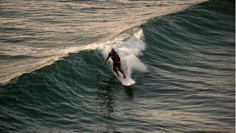 Australien: Mann nimmt Python mit zum Surfen