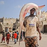 Laut dem UN-Zwischenbericht befinden sich die Weltmeere im Ausnahmezustand. Die größten Probleme sind demnach zunehmende Überdüngung, Versauerung, Meereserwärmung und die Verschmutzung durch Kunststoffe. Zwar gebe es in einigen Bereichen Fortschritte, doch die gingen weder schnell noch weit genug. "Nur schnelles und koordiniertes weltweites Handeln kann eine Umkehr bewirken. Dies erfordert mehr Finanzmittel für die Meereswissenschaft, verstärkte Erhaltungsmaßnahmen, die Förderung natur- und ökosystemgestützter Lösungen, die Untersuchung der übergeordneten Zusammenhänge und der Auswirkungen der vom Menschen verursachten Belastungen sowie ein dringendes Umsteuern beim Klimawandel, um das größte Ökosystem unseres Planeten zu retten."