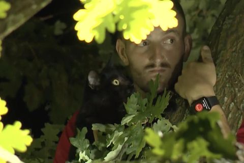 Feuerwehr rettet Mann und Katze aus einem Baum