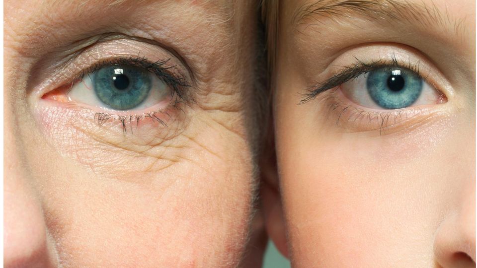Das Gesicht einer älteren Frau neben dem einer jüngeren Frau
