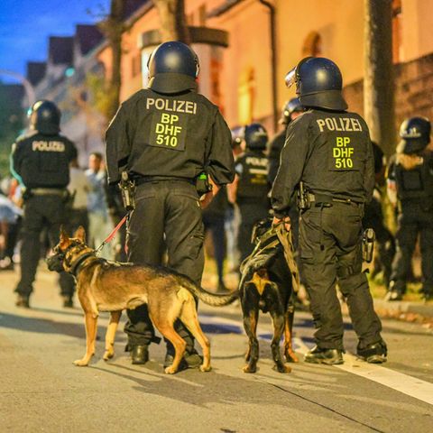Einsatzkräfte der Polizei stehen mit Hunden nach Ausschreitungen bei einer Eritrea-Veranstaltung in Stuttgart auf der Straße