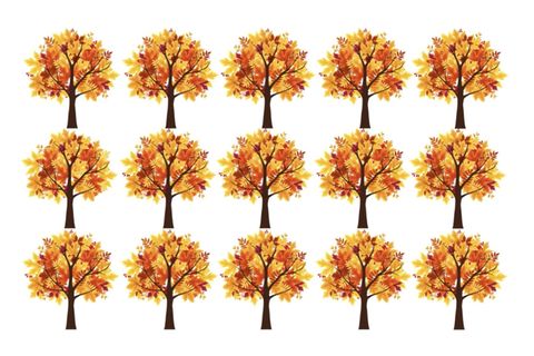 Wie schnell finden Sie den Baum, der anders aussieht als der Rest?