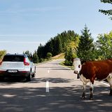 Volvo XC40 Recharge Pure Electric Twin Motor