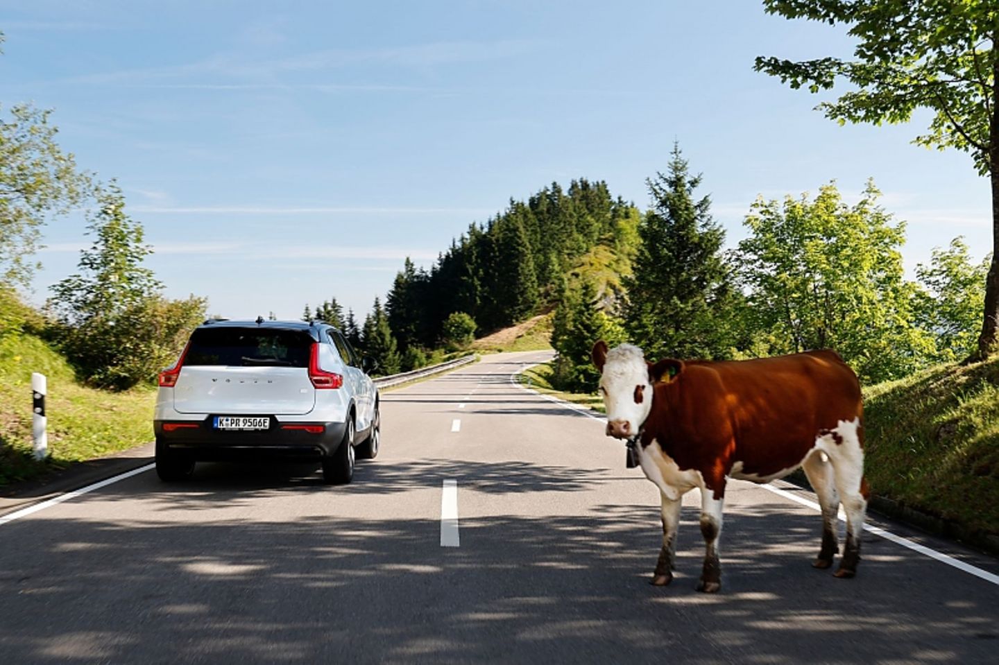 Volvo XC40 Recharge Pure Electric Twin Motor