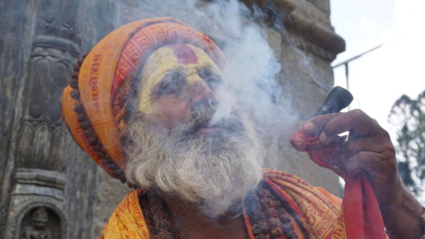 Komplizierter ist die Lage in Nepal. Einst zog das Land im Himalaya unzählige Hippies an – nicht zuletzt wegen der vielen Cannabis-Läden. Das Marihuana-Rauchen ist hier aber auch kulturell verankert, und der Konsum wurde lange als völlig normal angesehen. Aber in den 1970er Jahren verbot das Land Produktion, Verkauf und Konsum – nachdem die USA im Rahmen ihres damaligen Krieges gegen Drogen Druck gemacht hatten. Wer sich nicht daran hält, kann sogar ins Gefängnis wandern.  Trotzdem hat noch so mancher in aller Öffentlichkeit einen Joint in der Hand, oft drückt die Polizei ein Auge zu. So rauchen Sadhus – als heilig angesehene und von Almosen lebende Männer – regelmäßig auf den Geländen hinduistischer Tempel. Zudem sieht man auf dem Land oft Cannabis-Pflanzen in Gärten. Und auch beim "Shivaratri"-Fest zu Ehren des Hindu-Gottes Shiva, das jedes Jahr Hunderttausende Gläubige begehen, spielt der Konsum eine wichtige Rolle. Inzwischen gibt es Bestrebungen, die Droge wieder zu legalisieren.