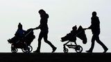 In Deutschland leben über 84 Millionen Menschen. Davon sind fast elf Millionen Kinder (Stand Mai 2023). Die niedrigste Geburtenrate seit 1946 wurde zuletzt 2011 gemeldet. Der geburtenstärkste Jahrgang seit den "Baby-Boomern" (1955 bis 1964, 1964 wurden 1,36 Millionen Kinder geboren) war mit 795.492 Kindern das Jahr 2021. Jungen kommen in Deutschland etwas häufiger zur Welt als Mädchen (Differenz fünf Prozent).      Bei der Geburt des ersten Kindes sind Frauen laut Statistischem Bundesamt durchschnittlich 30 Jahre alt. 20 Prozent der Frauen im Alter von 45 und 49 Jahren haben keine (leiblichen) Kinder. Die sogenannte Kinderlosenquote hat sich seit 2012 kaum verändert.