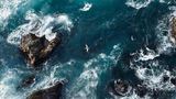 Die tosende Nordsee vor Helgoland ist die Heimat zahlreicher Vögel. Auch der Basstölpel ist hier heimisch. Jedes Jahr zwischen April und Juni kommen die weißen Vögel auf die abgeschiedene Insel und bevölkern damit auch die Lüfte über dem Meer – gemeinsam mit Möwen und Puffins. 
