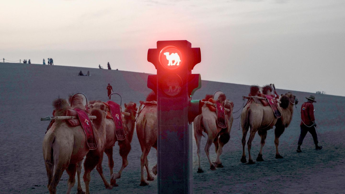 China’s “new Silk Road” turns 10 – the celebratory mood is deceptive
