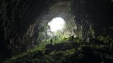 Höhle mit Farnen und Bäumen am Eingang