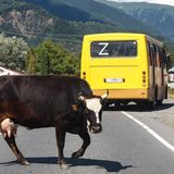 Kaukasus Südossetien