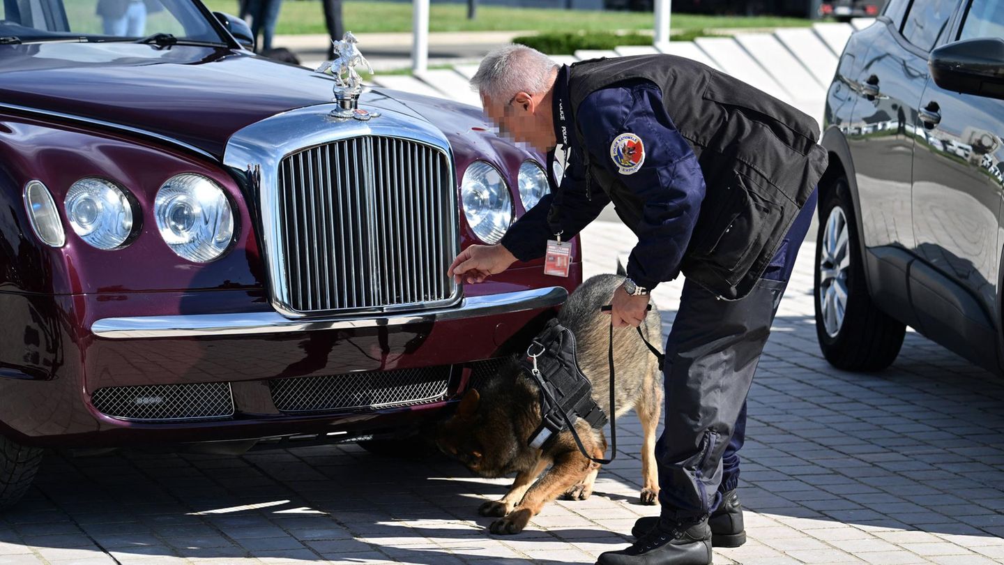 Spürhund