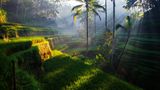 Bali, Indonesien