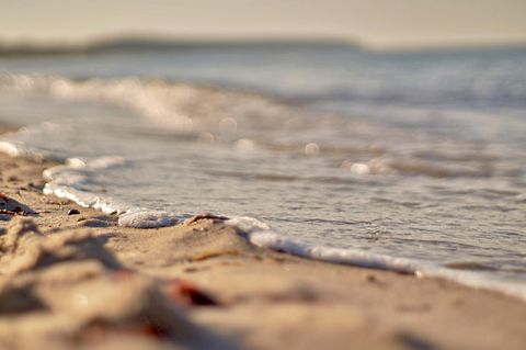 Meer