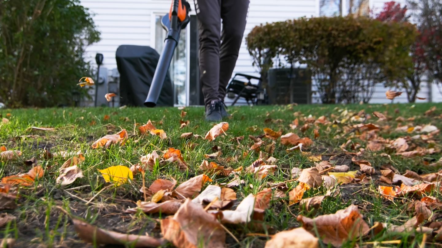 Gardening in autumn: This is why you should not use a leaf blower