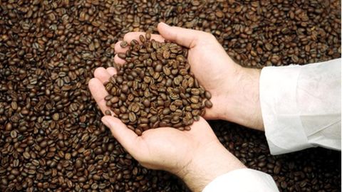 Klimawandel Kaffee