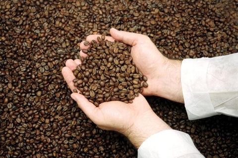Klimawandel Kaffee