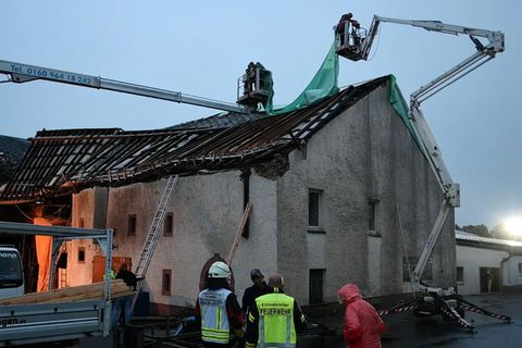Bild zeigt, Schneise der Verwüstung nach einem TOrnado in der Eifel.