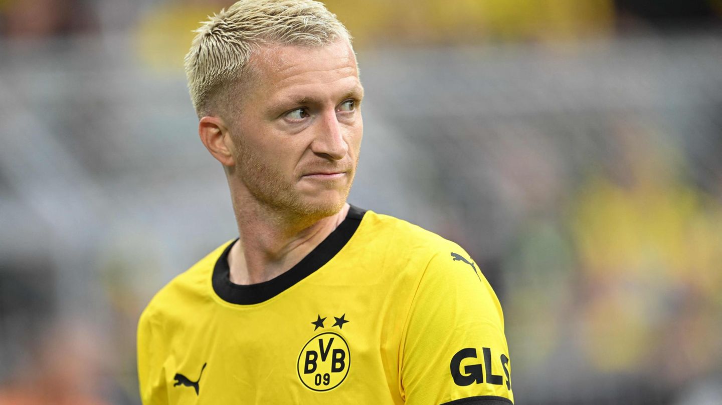 Bundesliga BVB Wolfsburg Bundesliga BVB Wolfsburg