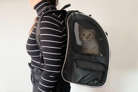 Eine Frau trägt einen Katzenrucksack