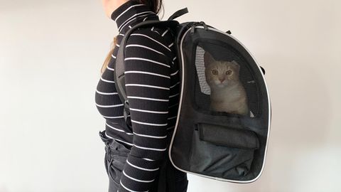 Eine Frau trägt einen Katzenrucksack