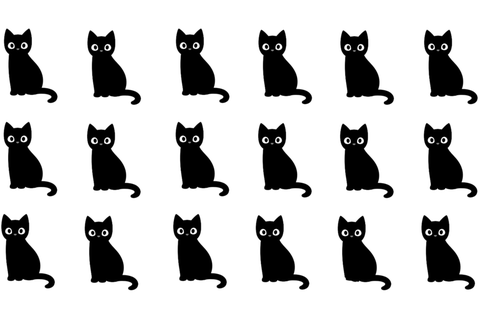 Diese Katzen sehen sich zum Verwechseln ähnlich – doch eine von ihnen hebt sich vom Rest der Gruppe ab. Können Sie erkennen, welche es ist?