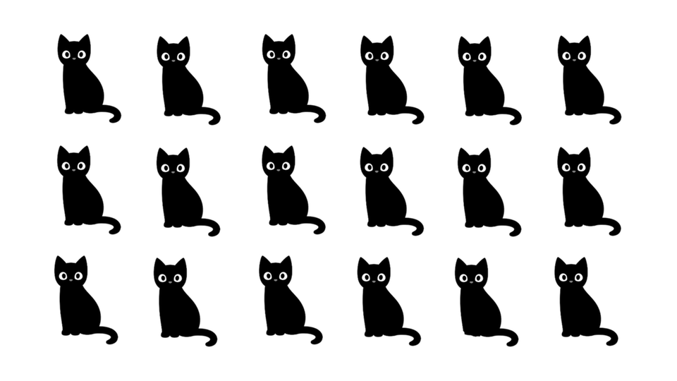 Diese Katzen sehen sich zum Verwechseln ähnlich – doch eine von ihnen hebt sich vom Rest der Gruppe ab. Können Sie erkennen, welche es ist?