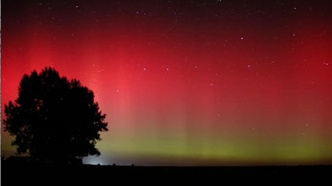 Seltenes Naturschauspiel: Polarlichter leuchten am Nachthimmel über Sachsen-Anhalt