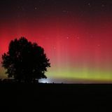 In Fischbeck (Sachsen-Anhalt)