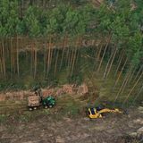 Tesla-Gigafactory in Grünheide bei Berlin