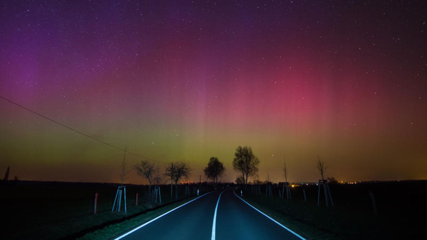 Im März 2015 auf einer Landstraße nahe Lietzen im Landkreis Märkisch Oderland (Brandenburg)