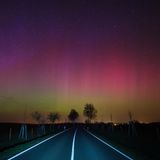 Im März 2015 auf einer Landstraße nahe Lietzen im Landkreis Märkisch Oderland (Brandenburg)