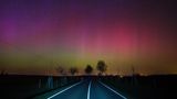 Im März 2015 auf einer Landstraße nahe Lietzen im Landkreis Märkisch Oderland (Brandenburg)