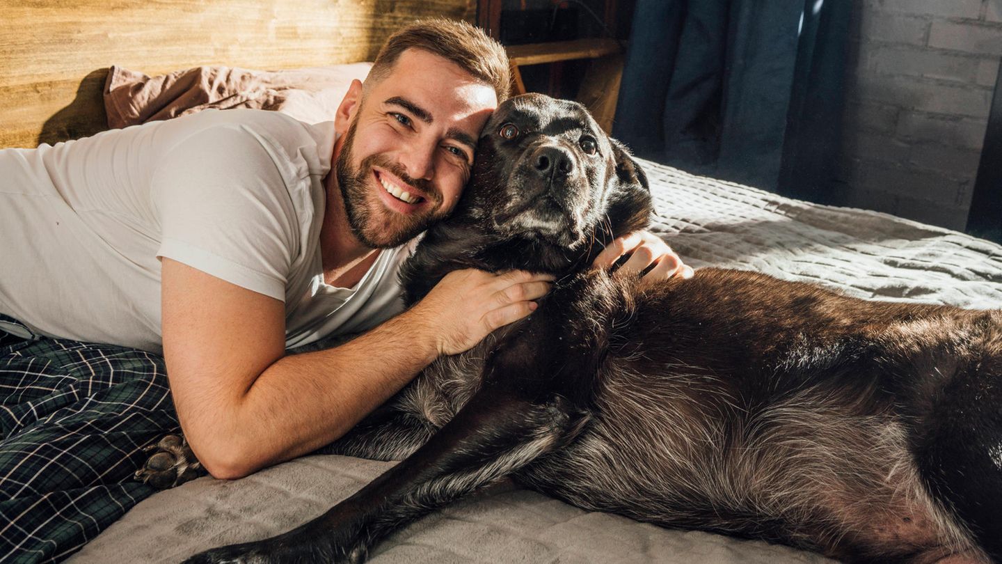 Ein Mann liegt mit seinem sehr großen Hund im Bett
