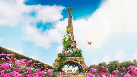 Paris zu Fuß oder mit dem Rad entdecken - hier finden Sie viele tolle Ausflugsziele