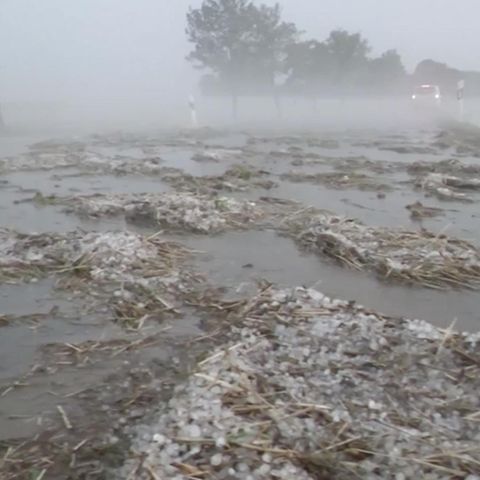 Klimatologen warnen vor bevorstehenden Katastrophen