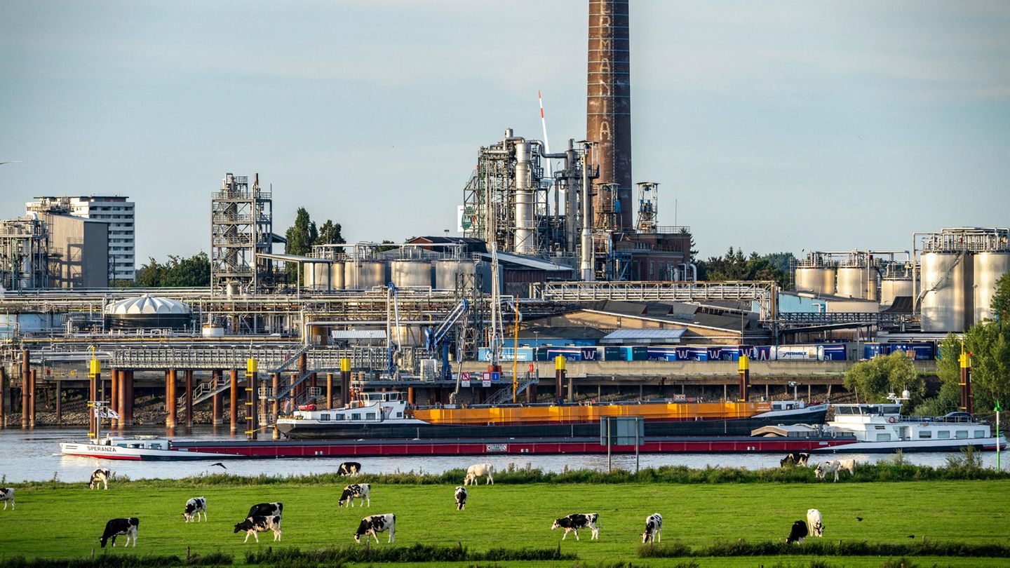 Industrial electricity price |  STERN.de