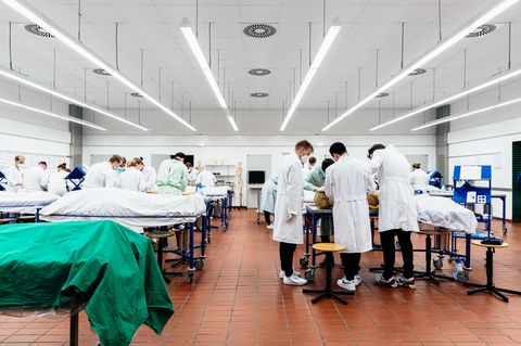 Gruppen von Studenten