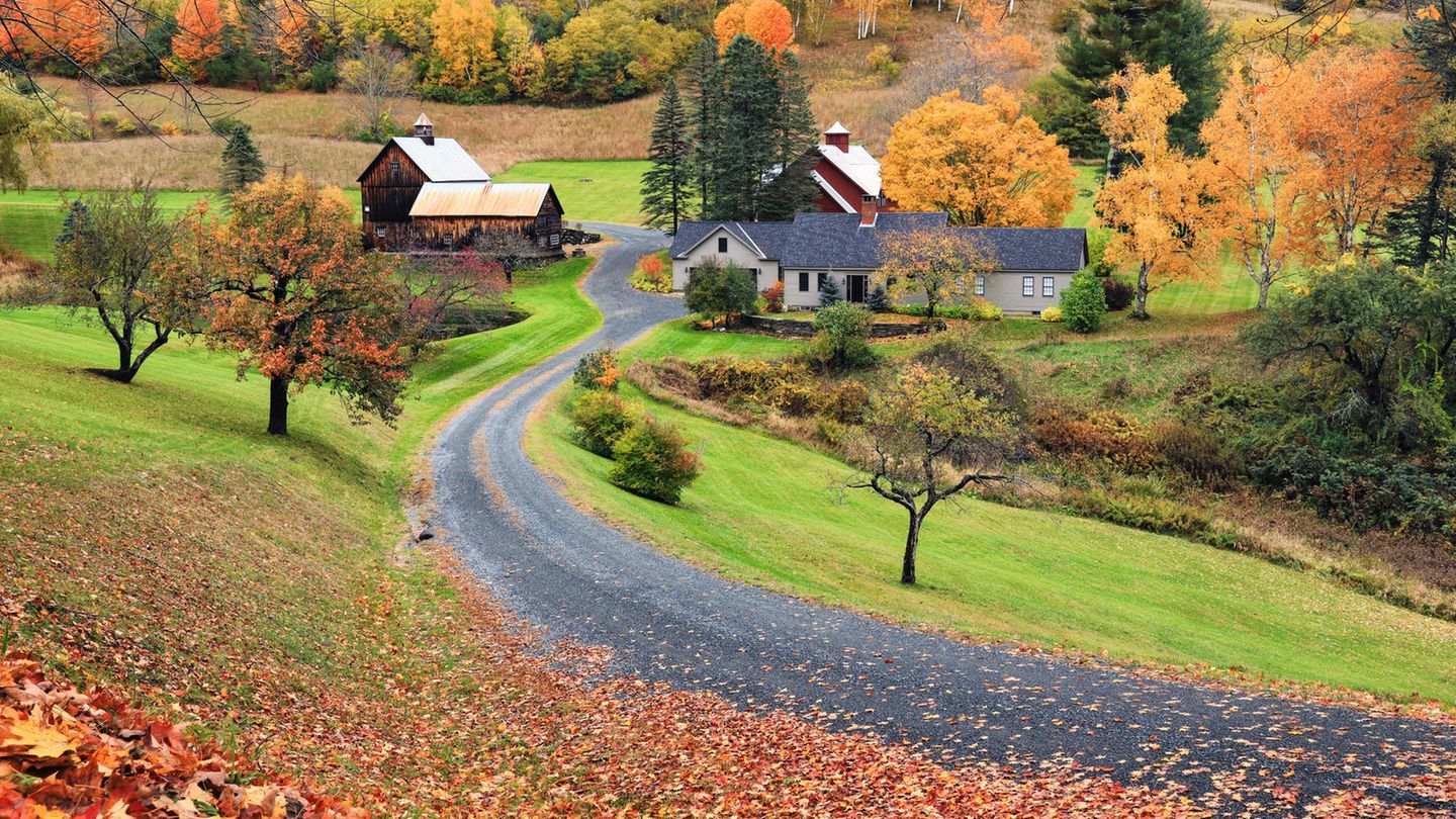 Sleepy Hollow Farm in Pomfret zieht Influencer an