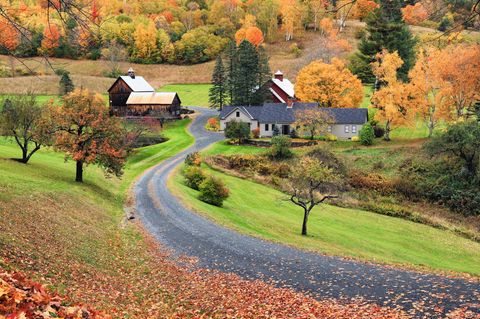 Sleepy Hollow Farm in Pomfret zieht Influencer an