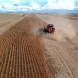 Eine Landmaschine erntet Sojabohnen auf einem Feld in Brasilien