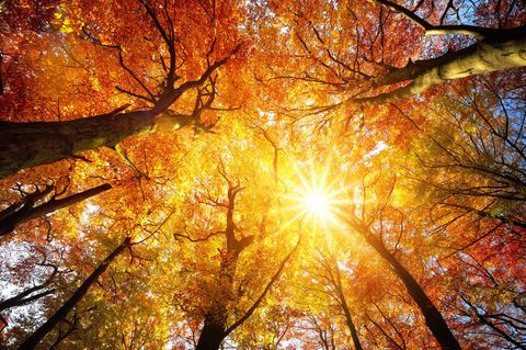 Wetter wie im Sommer, aber es ist Herbst: Der Oktober startet mit viel Sonnenschein und heißen Temperaturen. 