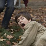 Die Geheimnisse der Spiderwicks