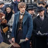 Phantastische Tierwesen