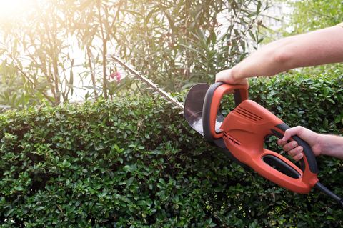 Mann schneidet Hecke mit Heckenschere