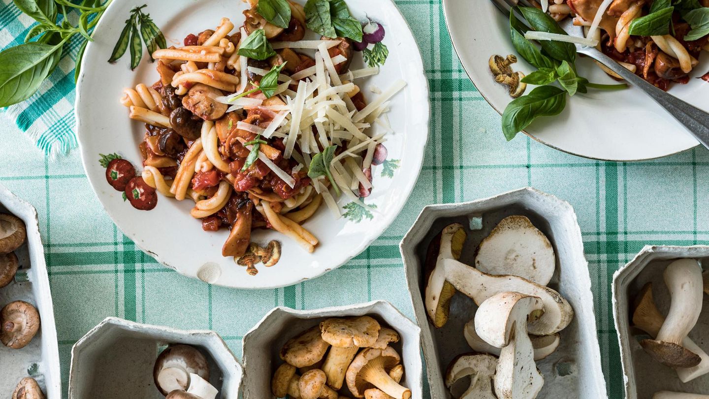 Ein Teller mit Nudeln und Pilzragú Ein Teller mit Nudeln und Pilzragú