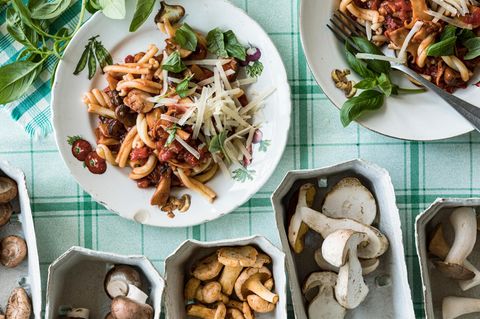 Ein Teller mit Nudeln und Pilzragú