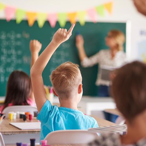 Nachhilfe und das Geschäft mit den schlechten Noten: Ein Schüler meldet sich in der Klasse Nachhilfe und das Geschäft mit den schlechten Noten: Ein Schüler meldet sich in der Klasse