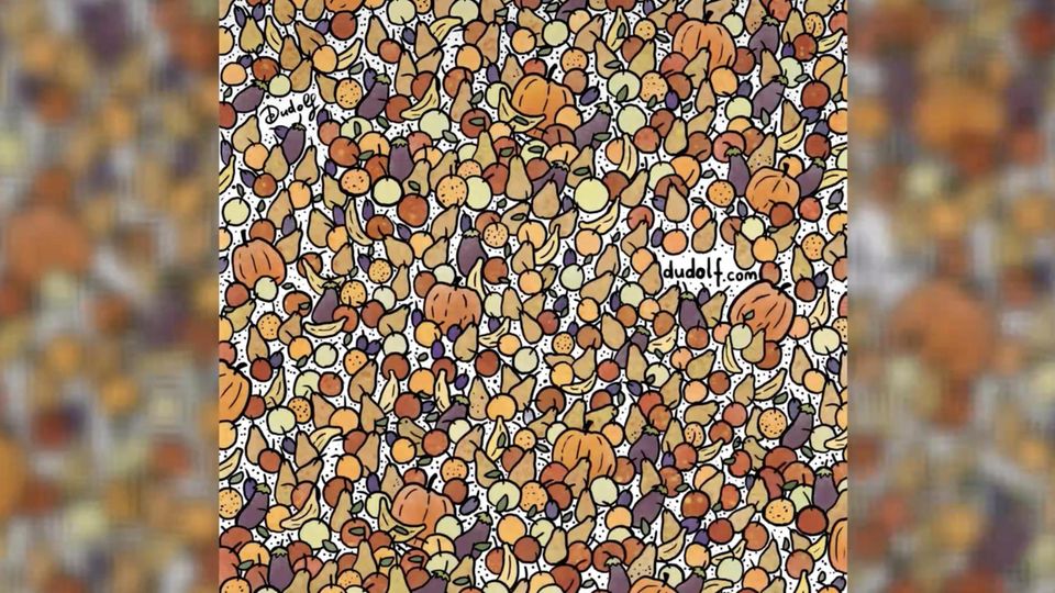 Augentest: Schnelles Suchbild: Können Sie alle kleinen Vögel in 15 Sekunden finden?