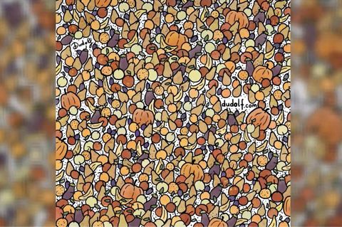 Augentest: Schnelles Suchbild: Können Sie alle kleinen Vögel in 15 Sekunden finden?