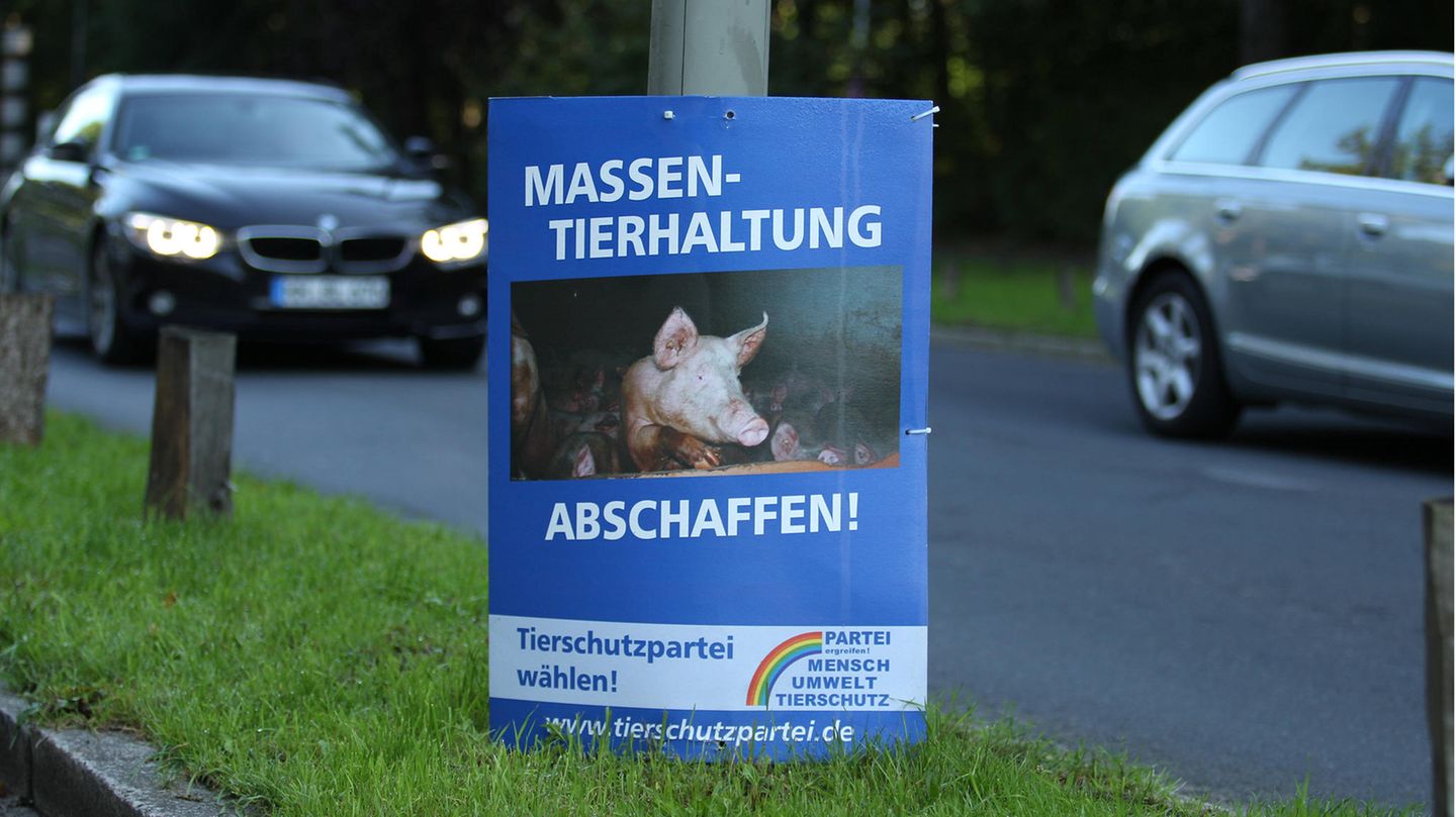 Vor den Landtagswahlen in Bayern und Hessen: Ein Plakat der Tierschutzpartei